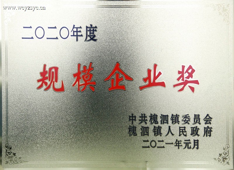 2020年度规模企业奖